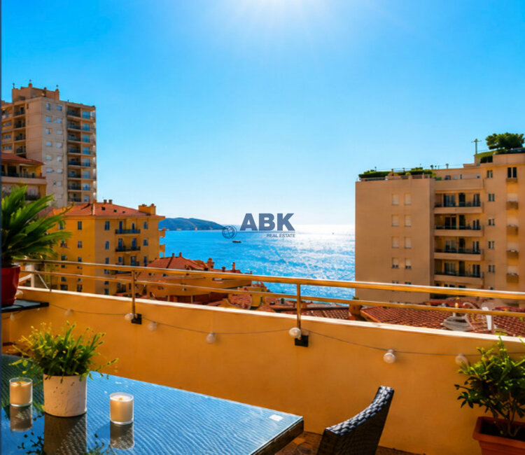 MAGNIFICENT APARTMENT COMPLETELY RENOVATED