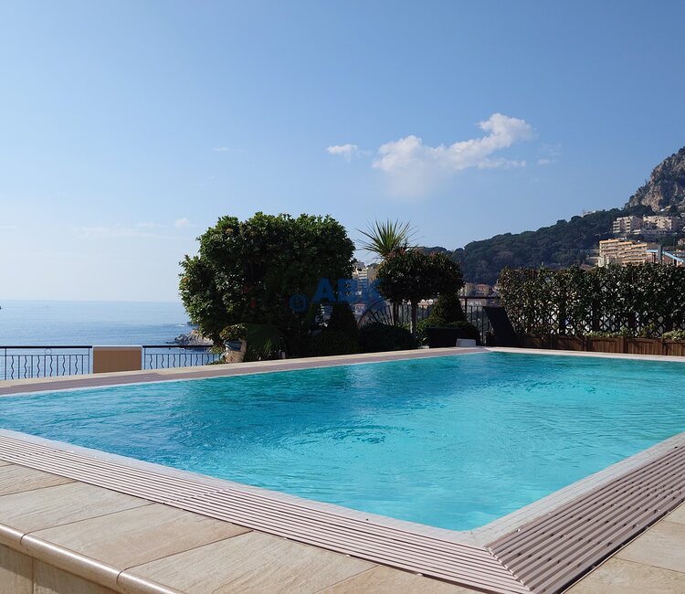 FONTVIEILLE - MAGNIFIQUE APPARTEMENT AVEC PISCINE PRIVEE