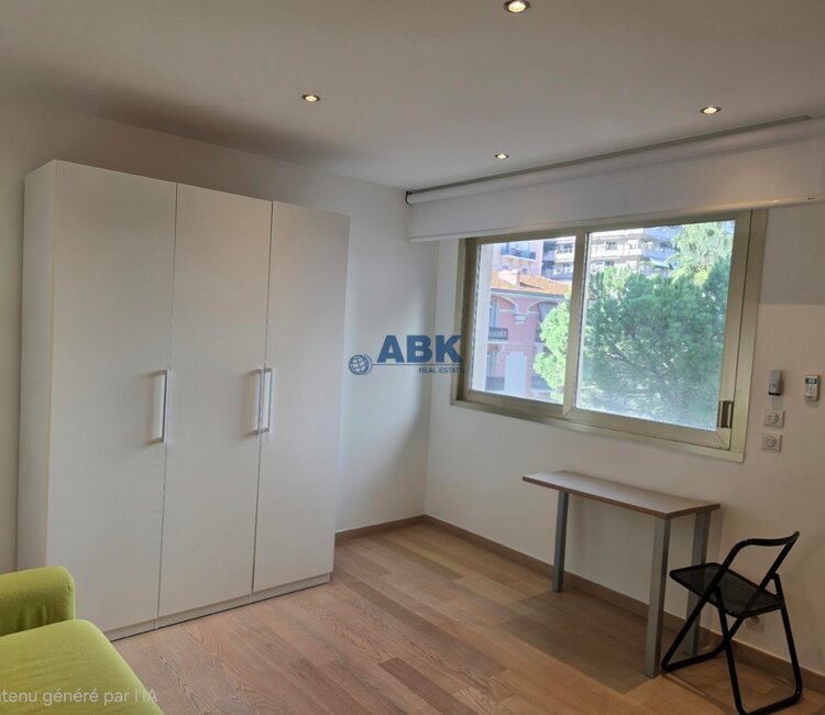 Chateau Amiral - Nice studio with mixte use
