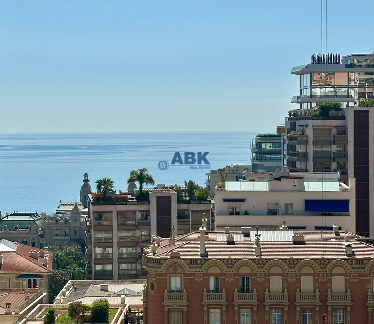 MAGNIFIQUE APPARTEMENT BOURGEOIS VUE MER