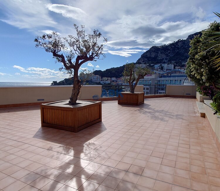 FONTVIEILLE - MAGNIFIQUE APPARTEMENT AVEC PISCINE PRIVEE